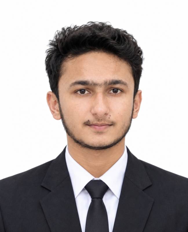 Muhammad Zain Ul Abdin