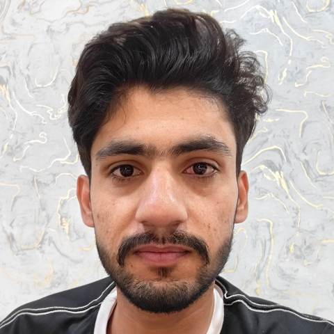 Ali raza