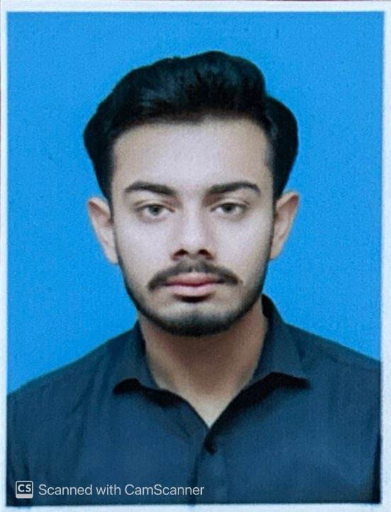 Muhammad Hamza Naeem